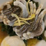 seychelles_kingfish