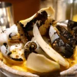 Cuttlefish_Sin Trofi