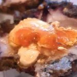 Fouska_Trizoni (2)