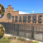 Tomaras brothers plead guilty over twin attacks in Glebe