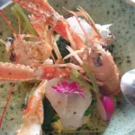 Scampi_Sin Trofi