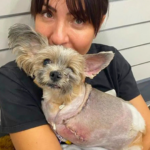 Sydney woman Mary Ioannidis compensated after violent dog attack