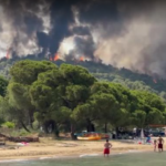 Wildfires ravage Crete and Halkidiki as Greece battles summer blazes