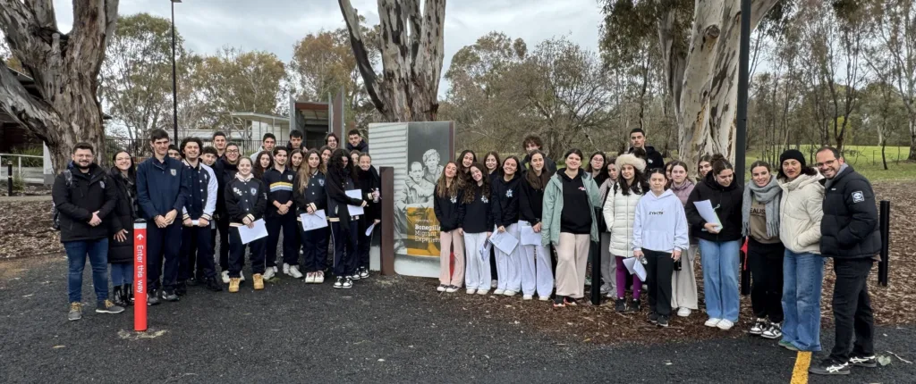 VCE Bonegilla