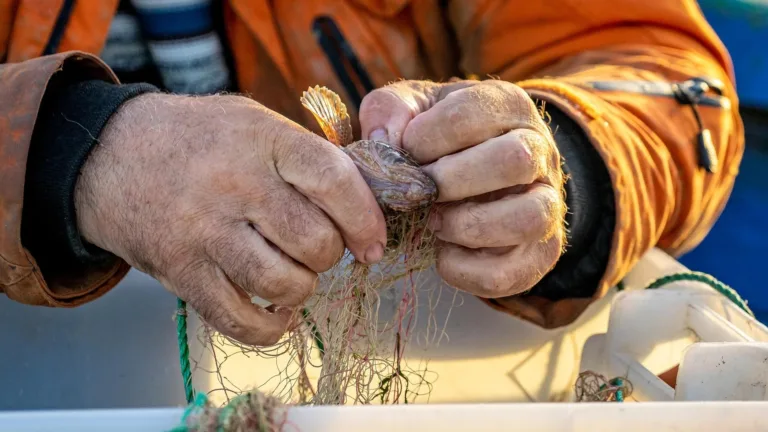 Amorgos enacts historic fishing ban after 90% stock decline