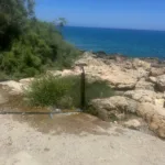 georgia georgiou turkish invasion of cyprus (6)