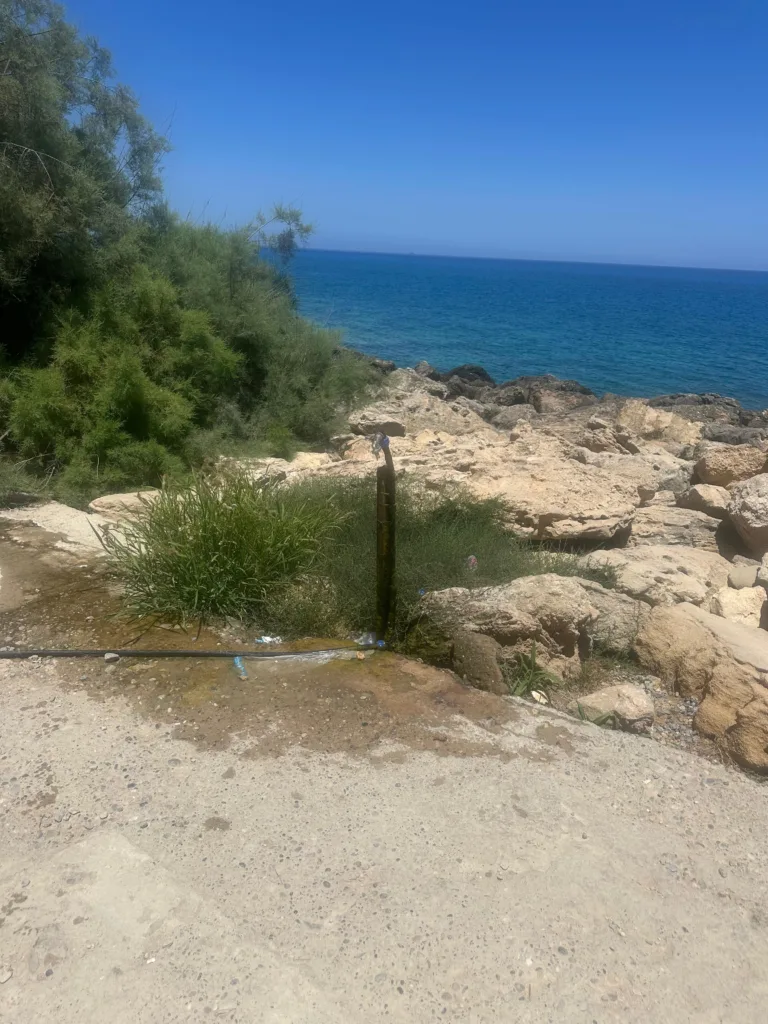 georgia georgiou turkish invasion of cyprus