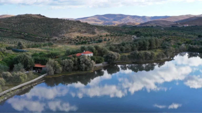 Sigri Olive Mill, Lesvos: Quality, taste and sustainability