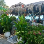 pleasant Kiato tavern