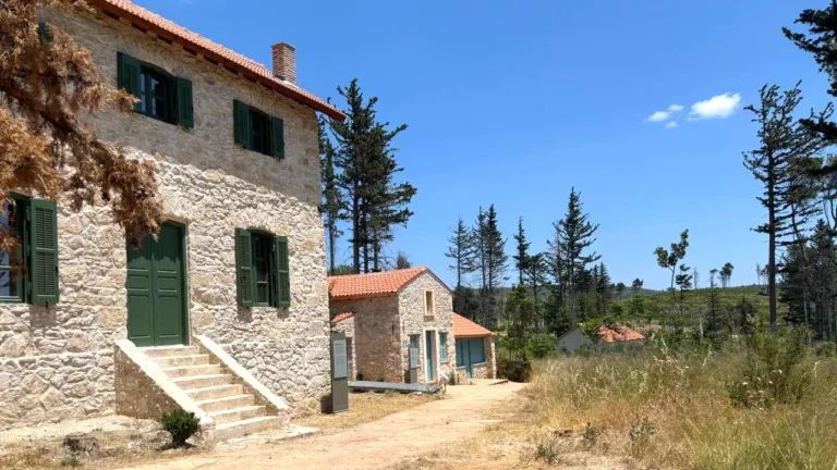 Historic Tatoi estate to reopen as cultural and environmental landmark by 2026