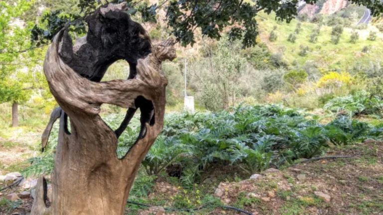 Botanical Park of Crete: Rooted in fire, inspiring hope
