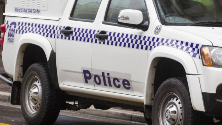 Michael Theoharis among 55 charged in SA-wide AN0M sting