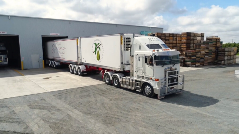 GVIP Storage director Chris Georgopoulos pleads not guilty over truck driver’s death