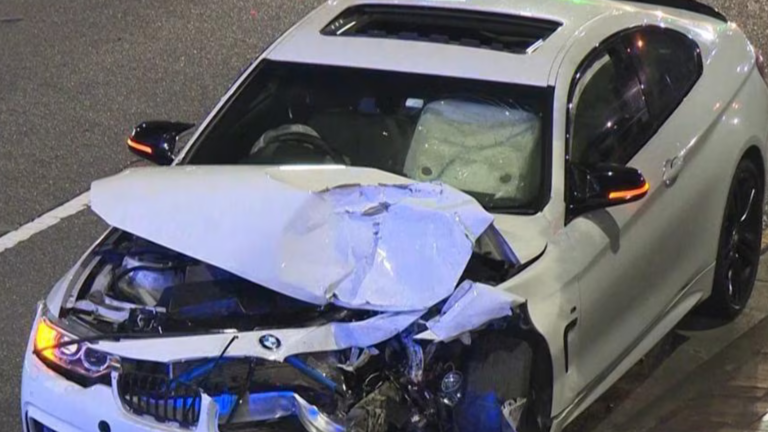 Teenager Aaron Papazoglu charged over crash that killed pregnant woman