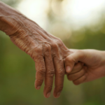 MAIN TEMPLATE (5) (1)