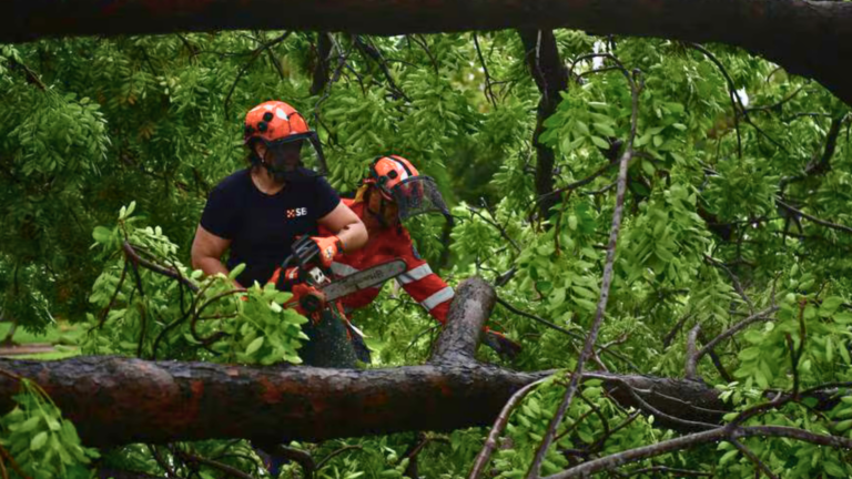 Darwin residents survey damage after Cyclone Fina