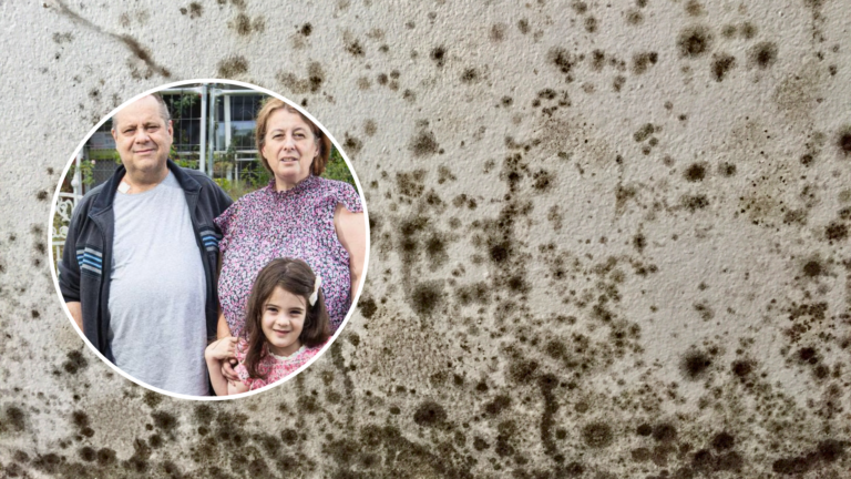 Karagiannis family faces ongoing battle after mould forces 13 moves in a year