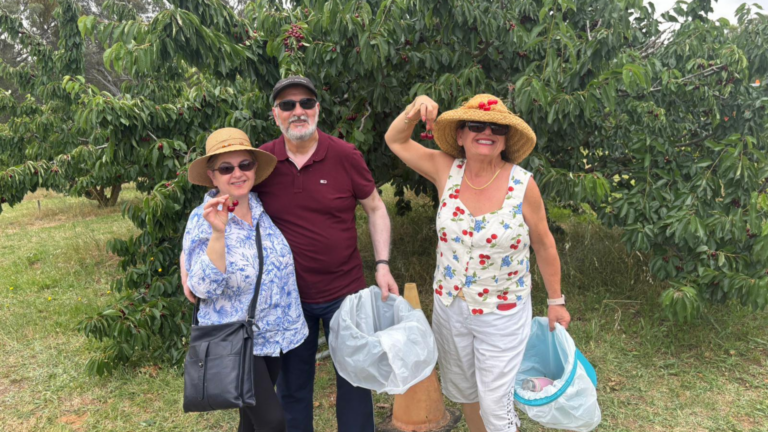 Mytilenian Brotherhood of Sydney wraps up lively cherry picking weekend