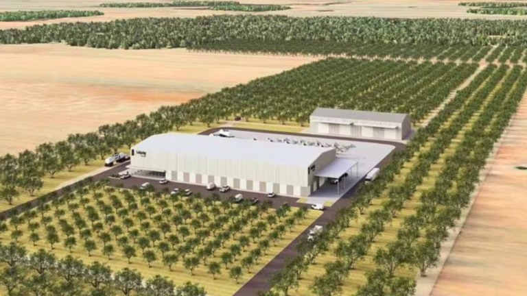 Leipzig Australia plans $80m olive grove and business precinct in SA