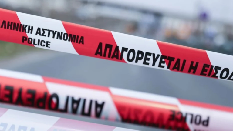 Australian woman injured and dog killed in hit-and-run in Heraklion