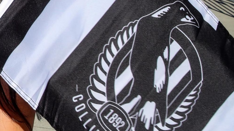 Dean Filopoulos resigns after incident on Collingwood camp in the NT