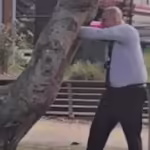 d36de76b8113dc574e7dd4241a1cb28c