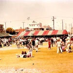 1982 – Φεστιβάλ Σέμαφορ