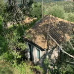 Anna has tried hard to purchase her pappou’s house but can’t seem to buy it