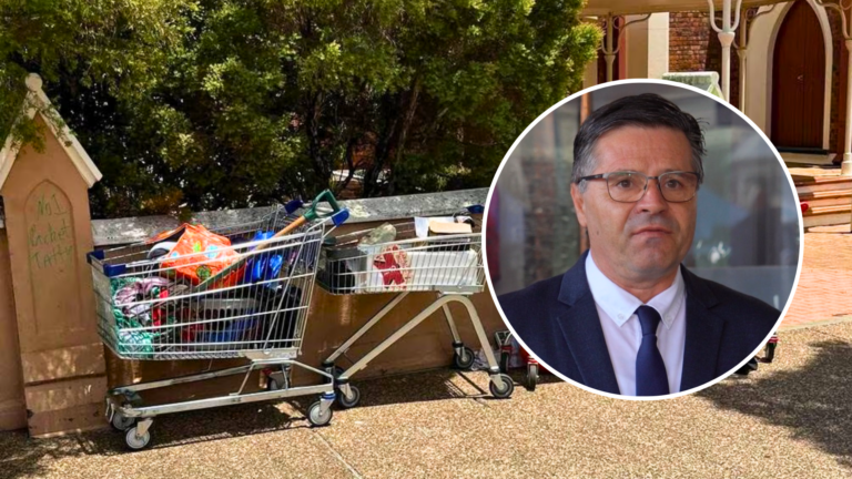 Queensland MP John Barounis warns online criticism is harming Maryborough’s image