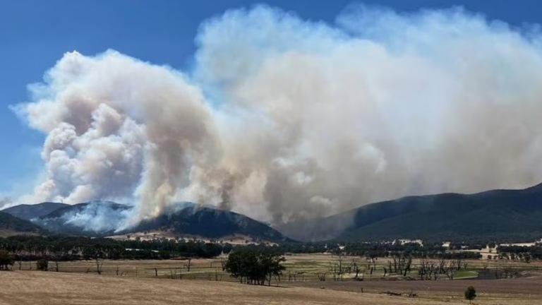 Australia sweats through widespread heatwave amid extreme fire warnings
