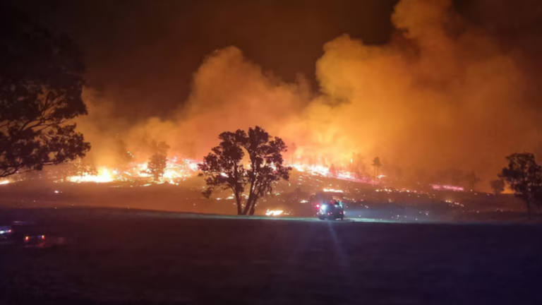 Fatality confirmed as bushfires continue to burn across Victoria