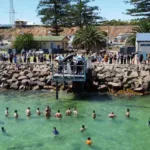 epiphany at wallaroo1