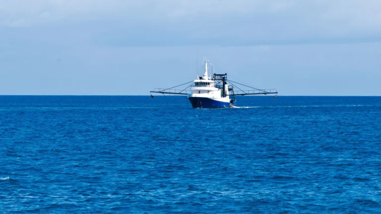 Australian seafood giant A Raptis & Sons enters voluntary administration