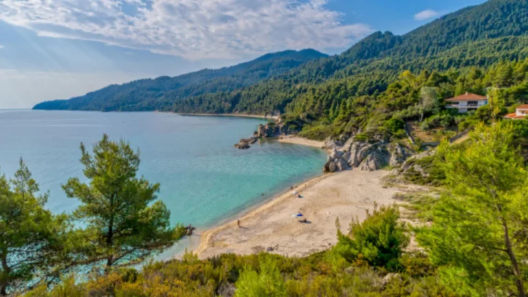 “Fava” beach in Halkidiki set for auction – concerns raised by residents and authorities