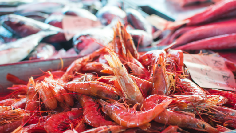 ‘Top dollar’ Easter seafood as Australia-EU deal boosts exports to Europe