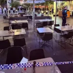 oakleigh vanilla machete attack