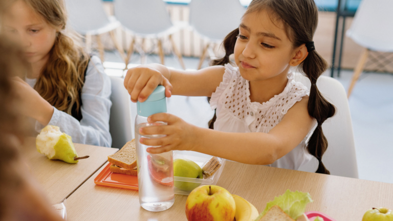 Greece bans junk food from school canteens in major health overhaul